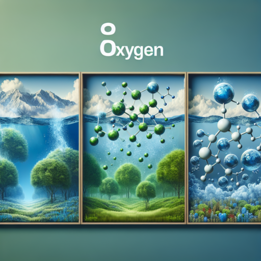 Exploring the Benefits of 3 Oxygen Enriched Environments