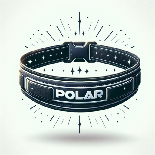 polar chest belt